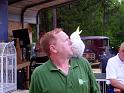 2010ParrotPicnic36